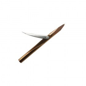 AC010B ARPIONE INOX